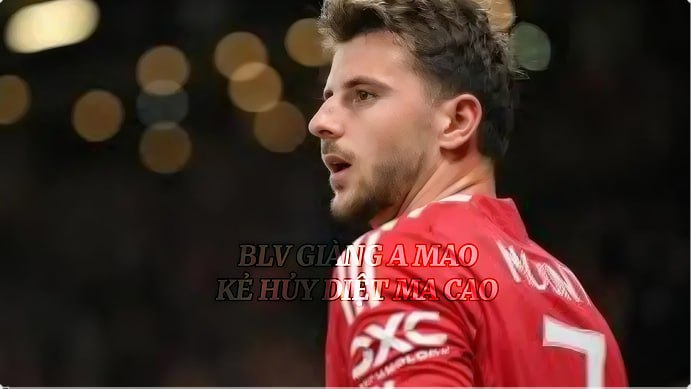 Gà Siêu Phiêu